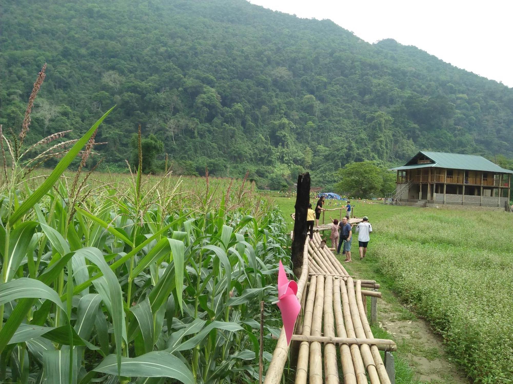 Tran Xuan Homestay Ba Be Eksteriør bilde
