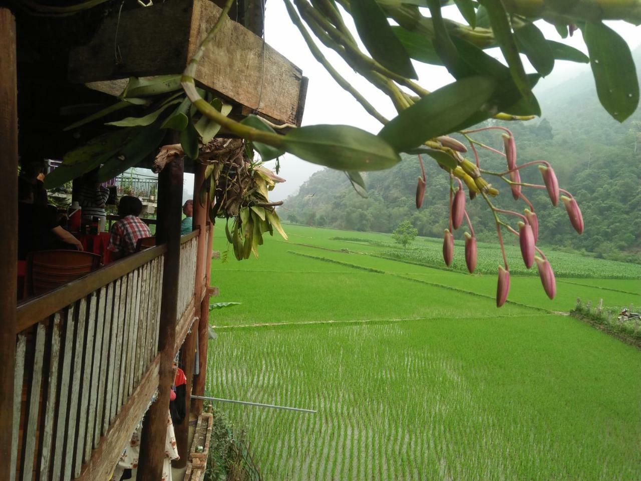 Tran Xuan Homestay Ba Be Eksteriør bilde
